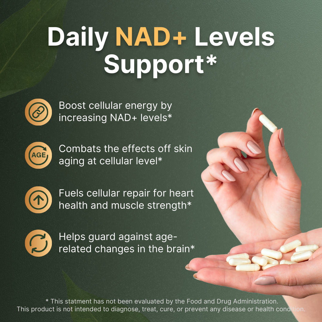 NAD+ Supplement